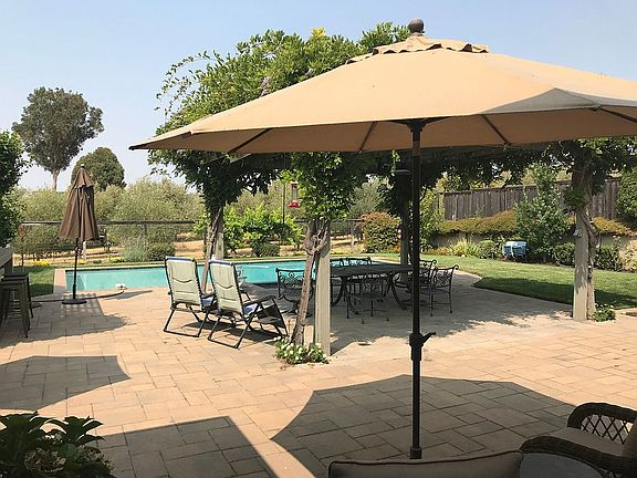 pool and patio/olive orchard