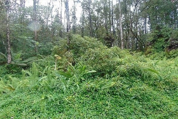 1st image of Pukalani Dr Lot 3