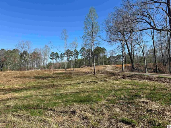 0 Beechy Creek Ln, Murray, KY 42071