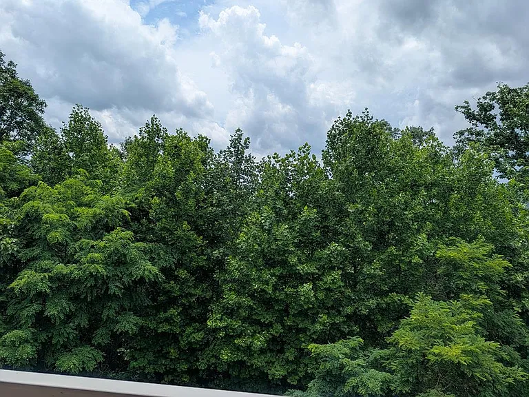 388 Ross Ridge Rd — Photo 12