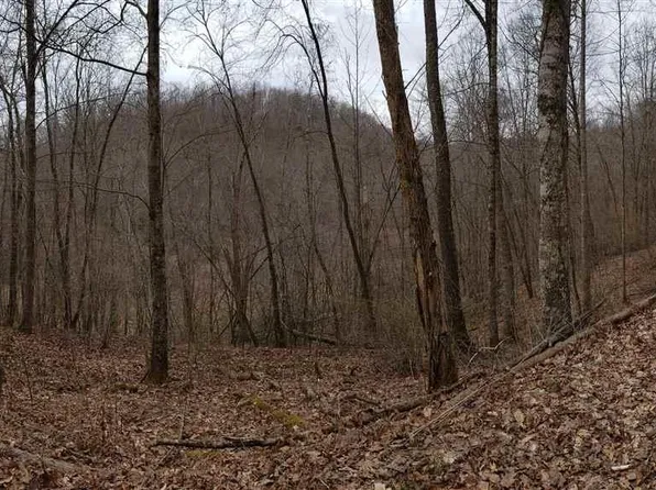 0 Glady Creek Rd, Crawford, WV 26343