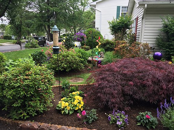 Front Garden (May '18)
