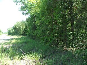 3rd image of Chaney Cemetery & Lake Haven Dr