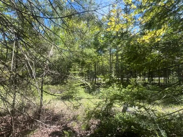E South Caribou Lake Rd, De Tour Village, MI 49725