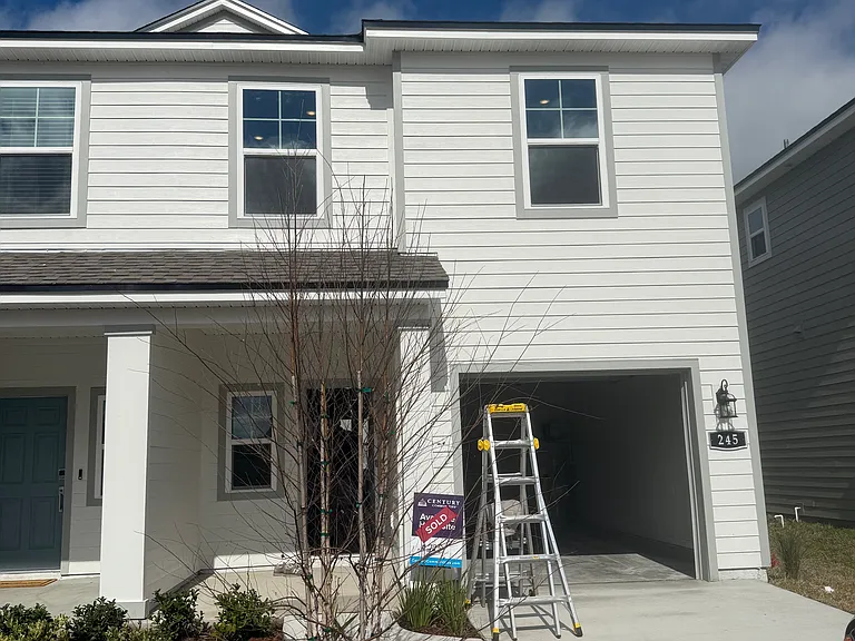 Brazil Nut Cir — Photo 8