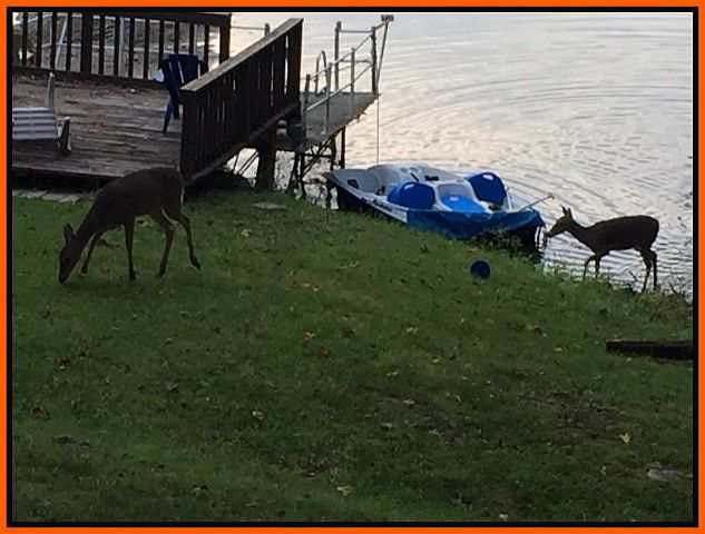 1st image of 26756 Spring Lake Trl