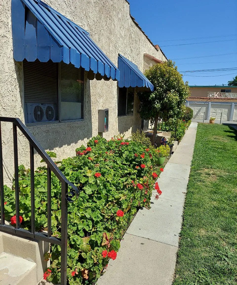 1 bed, 550 sqft, $1,749 — Photo 2