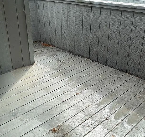 10301 N Kings Hwy #8-4 — Photo 13