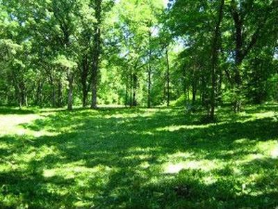 345th, Erhard, MN, 56534