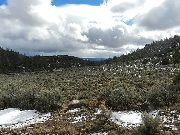 4th image of 51 Mule Deer Dr