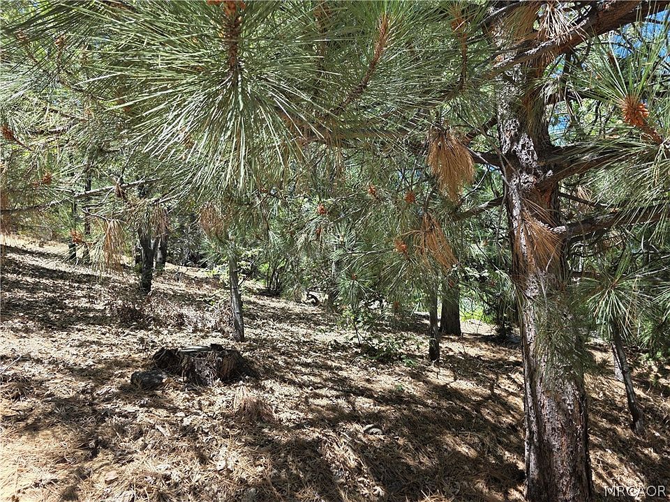 1st image of 28276 Arbon Ln