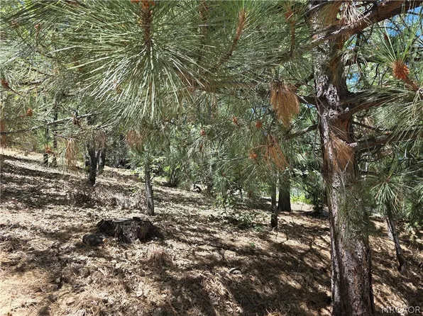 28276 Arbon Ln, Lake Arrowhead, CA 92352