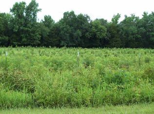 703 S Old Six Mile Rd, Somerville, AL 35670