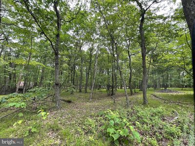 427 Camel Back Ln, Zion Grove, PA, 17985