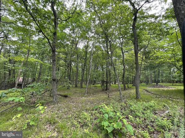 427 Camel Back Ln, Zion Grove, PA 17985