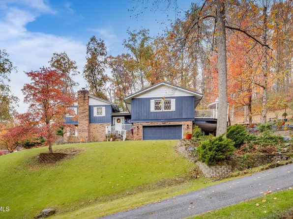8651 Curtiss Hill Rd, Pound, VA 24279