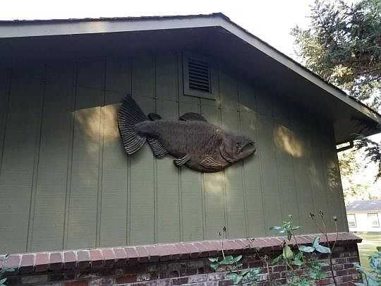 5th image of 325 Burke Ln
