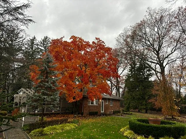 2 bed, 1000 sqft, $3,750 — Photo 2