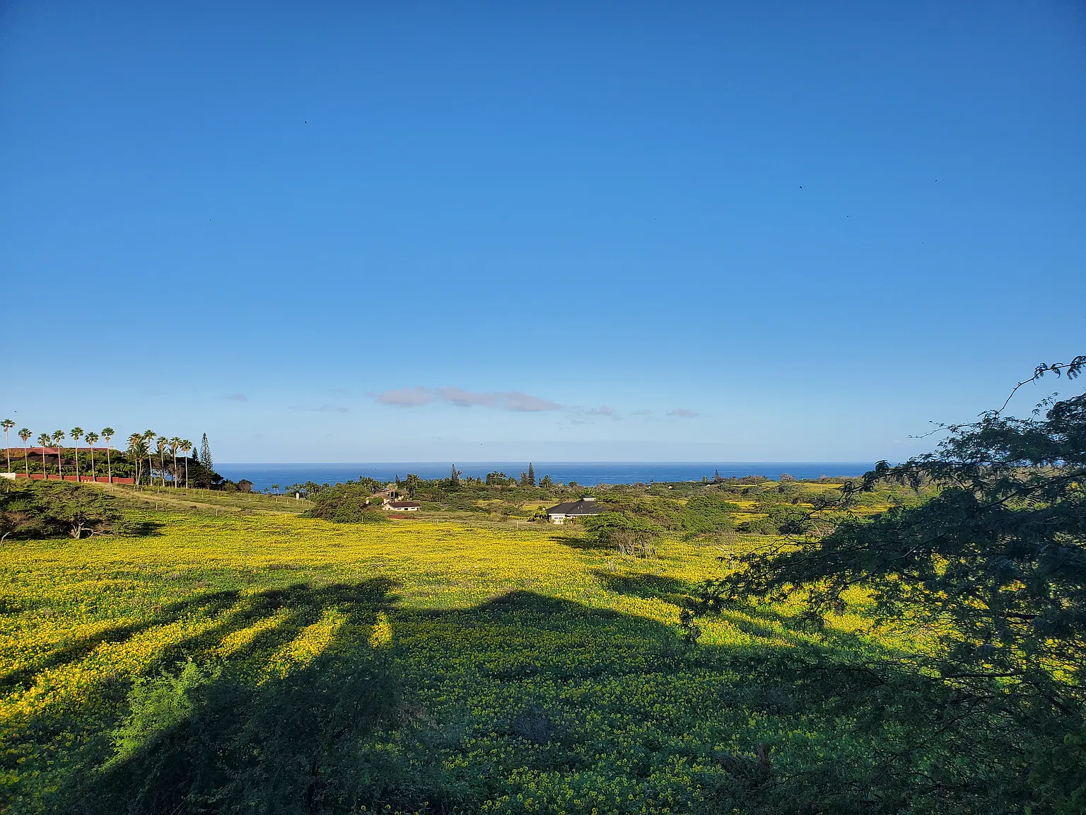 Kaula Rd, Maunaloa — Photo 2