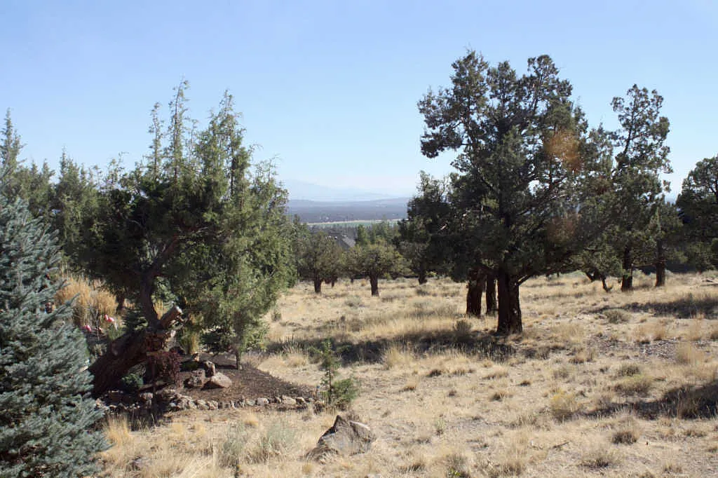 10732 Ironstone Ct photo 1