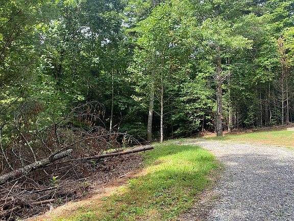 5th image of 111 Blackbear Mountain Trl