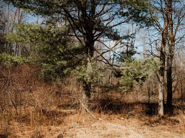 0 Shreve Rd, Union City, PA 16438