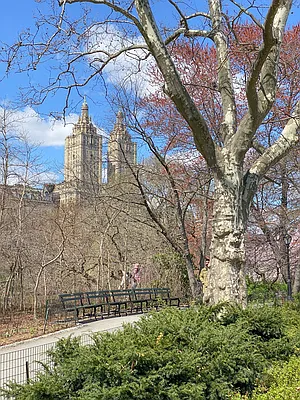 Rented by Quality Living Village, Inc. | media 20