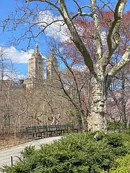 Rented by Quality Living Village, Inc.