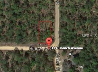 114 Branch Ave, Interlachen, FL 32148