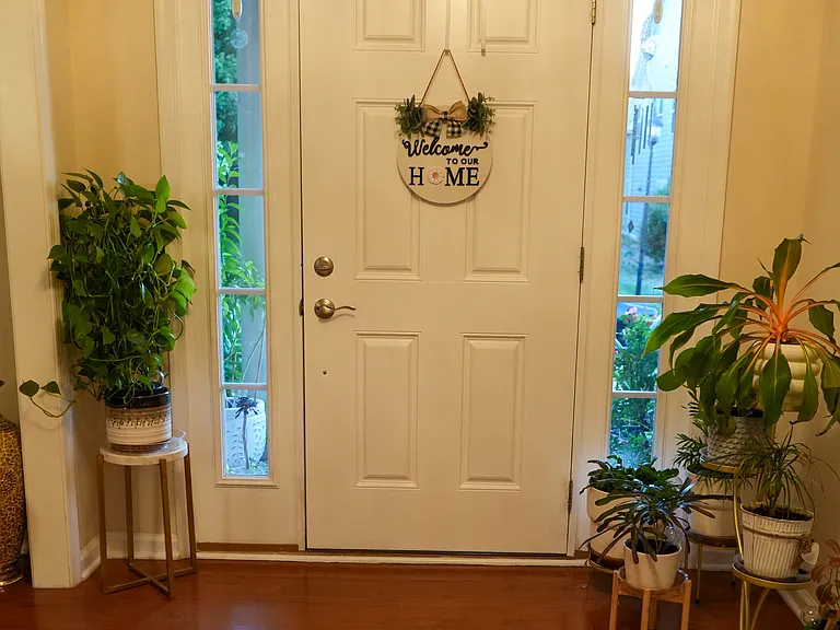 Front Door view from Inside