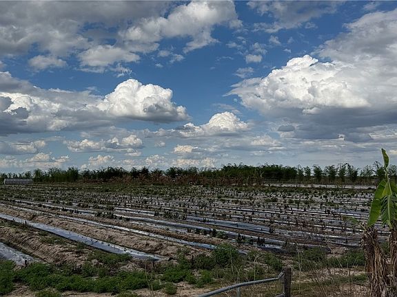 5th image of 6550 1st Rd