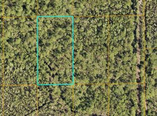 Inaccessible Trak LOT 3, Deland, FL 32724