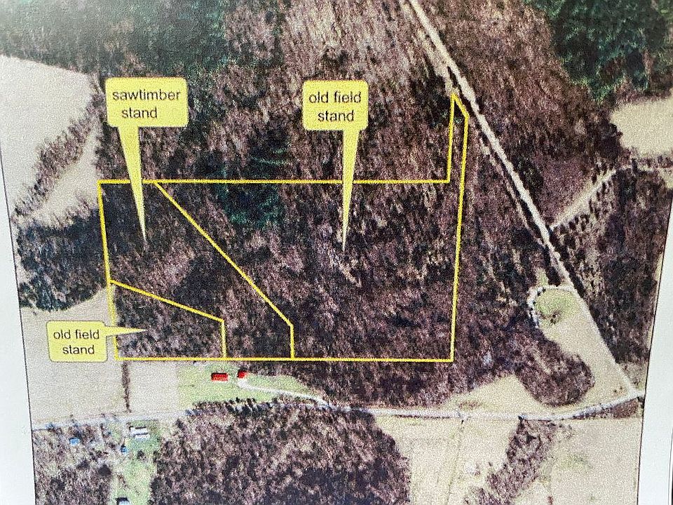 2009 overhead with easement.