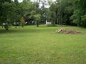 Back field