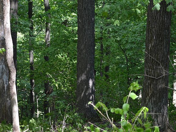 2nd image of 9 Wynstone