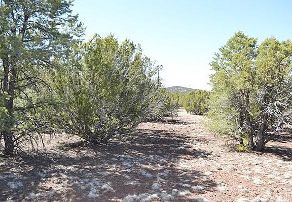 3rd image of 154 County Road 3187