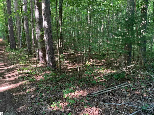 0 S Taxiway King Lot 86-87, Lake City, MI 49651