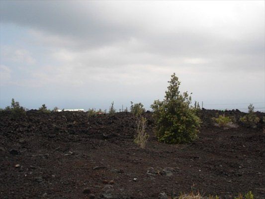 2nd image of Aloha Blvd Lot 3