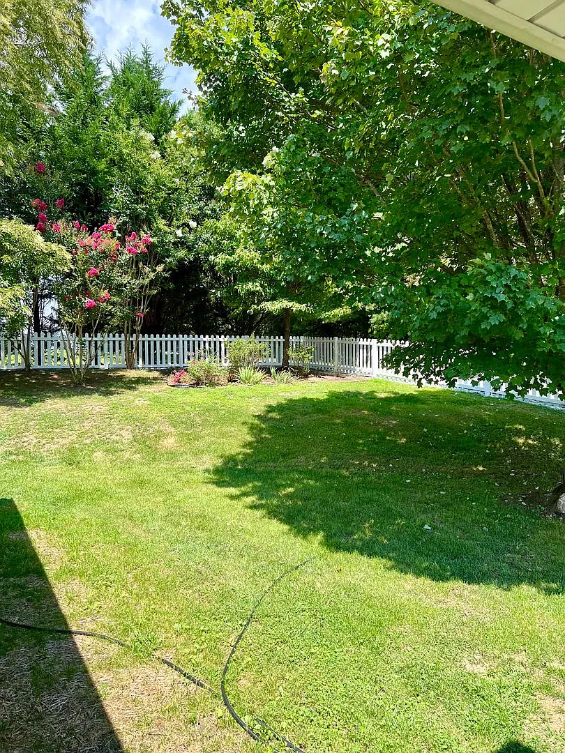 Amazing 3 Bedroom Home in Flat Rock!! — Photo 4