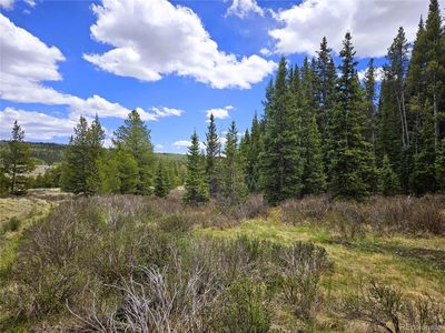 Looney Lane, Fairplay, CO, 80440