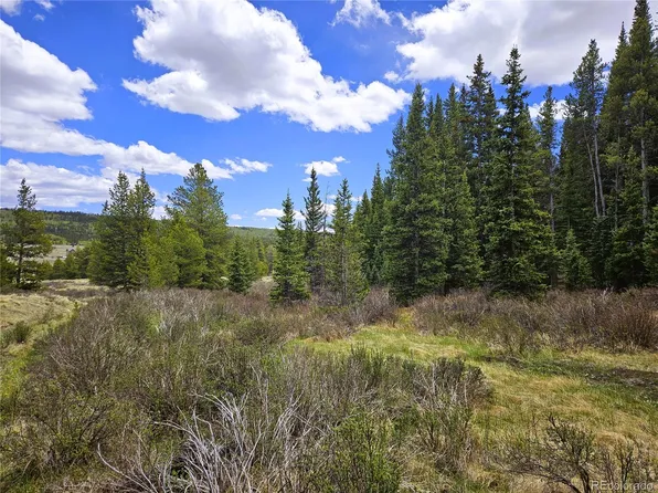 Looney Lane, Fairplay, CO 80440