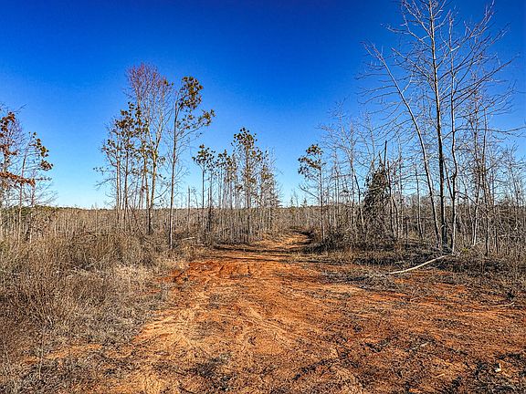 5th image of 0 County Road 3480