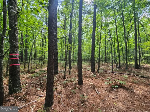 W James Anderson Hwy, Gladstone, VA 24553