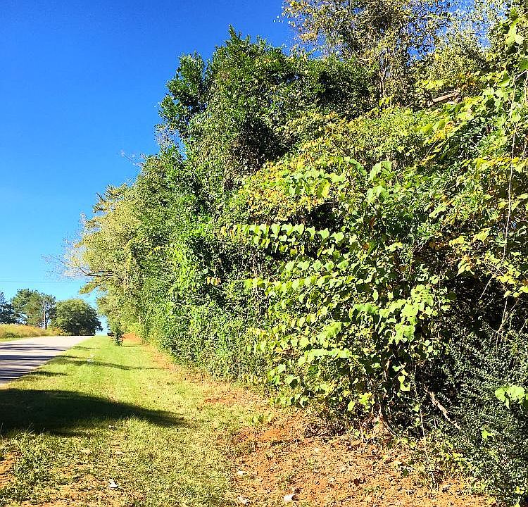 1st image of 1 West Lafeyette Street
