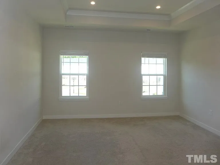 Master bedroom with tray ceiling