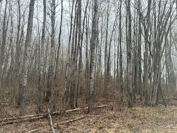 2nd image of Frazer Rd