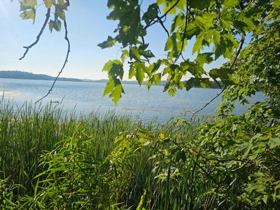 Rabbit Lake Dr, Crosby, MN, 56441