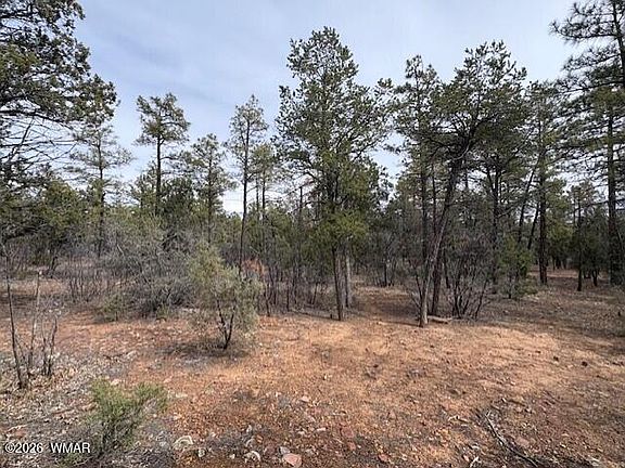 2nd image of 1721 S Knoll Trl