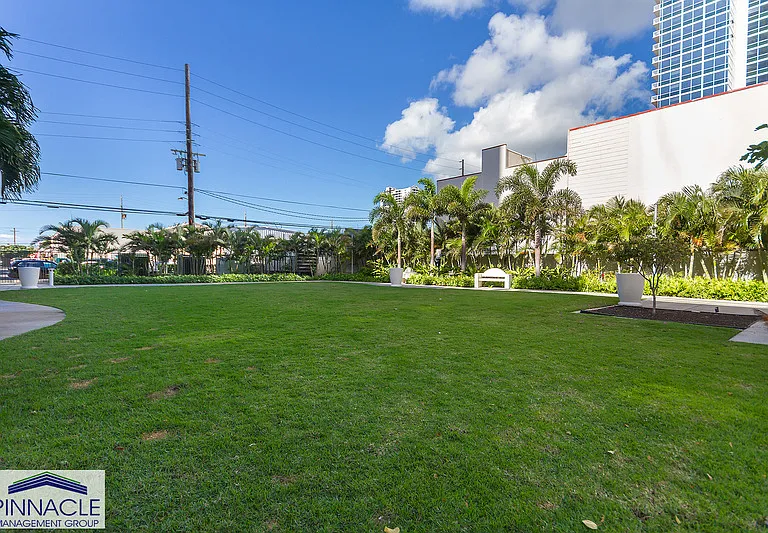 1009 Kapiolani Blvd #4101 — Photo 17