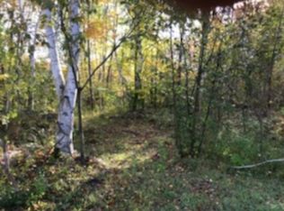 Kitter Rd, Ossineke, MI 49766